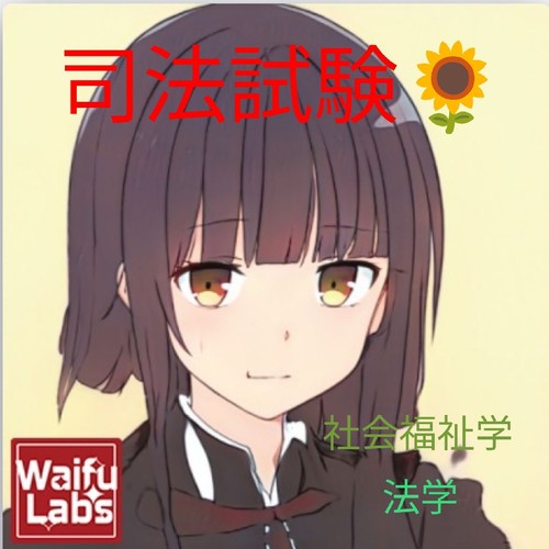 司法試験🌻⚖️SSR🐱✨のアイコン