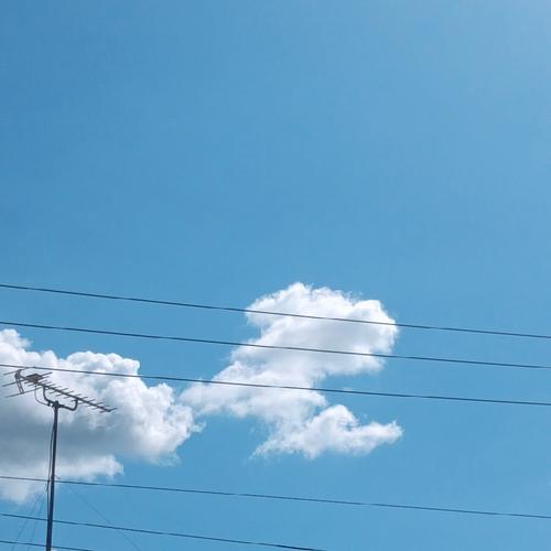 ꒰ঌ☾‎*アニメ好き☾*໒꒱【あーちゃんだよん(*^^*)】のアイコン