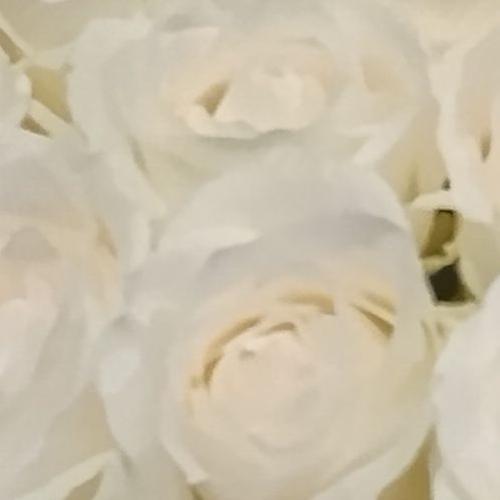 愛陽華のアイコン