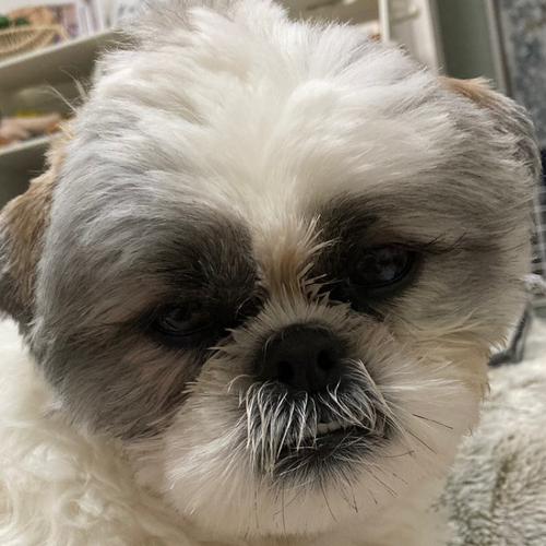 みんとてぃーのアイコン