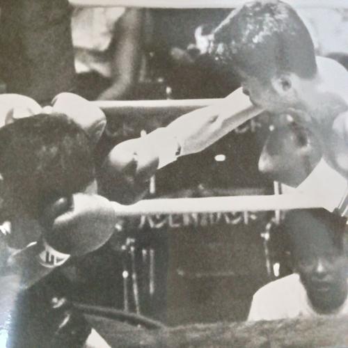 かぼ僧のアイコン