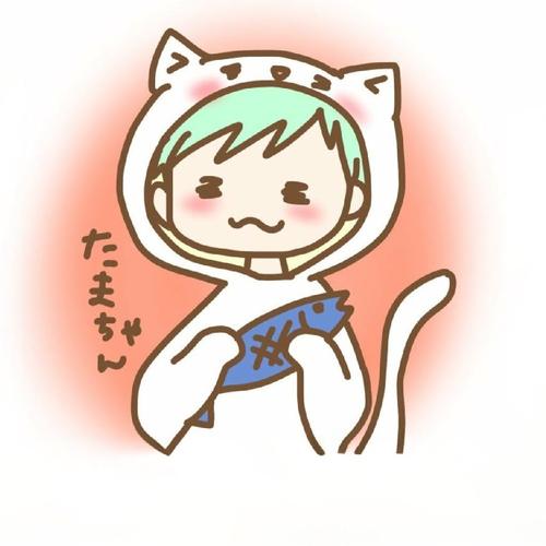 たま                                                のアイコン