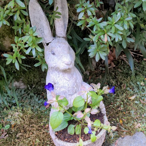 ちはやん🫧🌃✨のアイコン