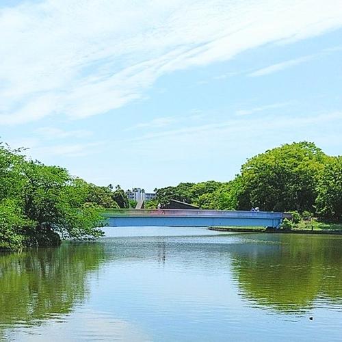 ｶ  ﾖのアイコン