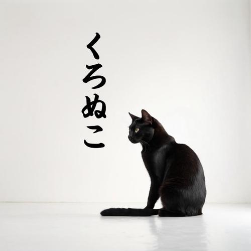 くろぬこのアイコン