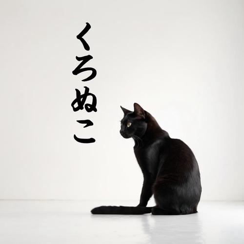 くろぬこのアイコン