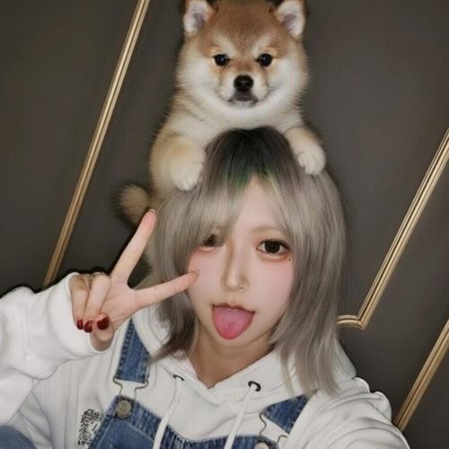 🩷🐱みずき️♂🩵🐶のアイコン