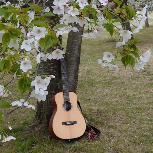 ゆう香🦋🌷4/24阿佐ヶ谷オイルシティのアイコン