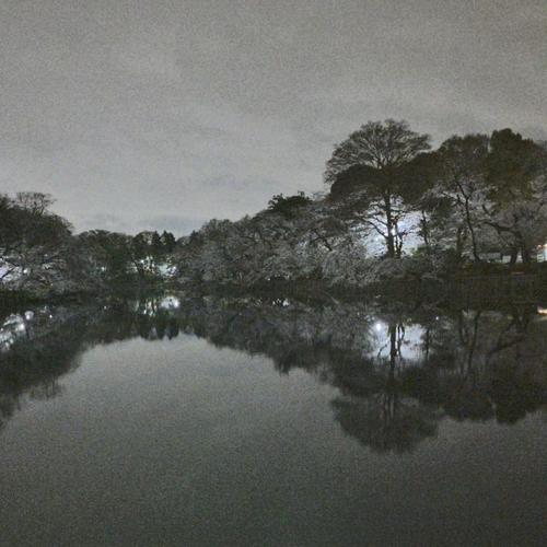 あずのアイコン