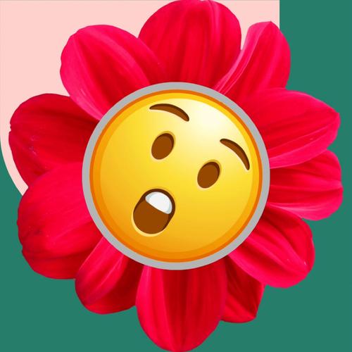 けてぃー🫰😲🩷k.tのアイコン