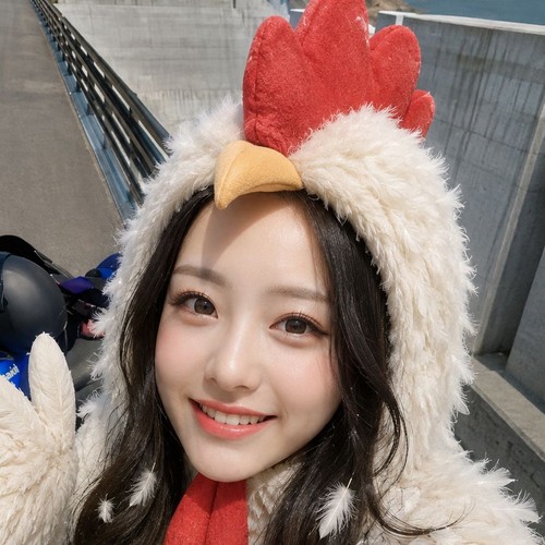 姫ライダーのしずコケッのアイコン