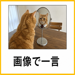 画像で一言