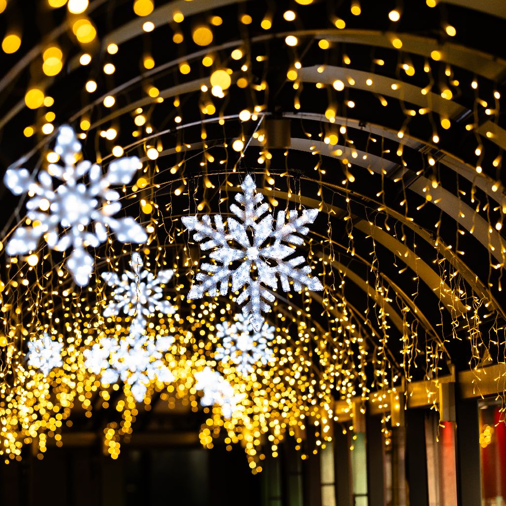 フォト部の放課後📷️