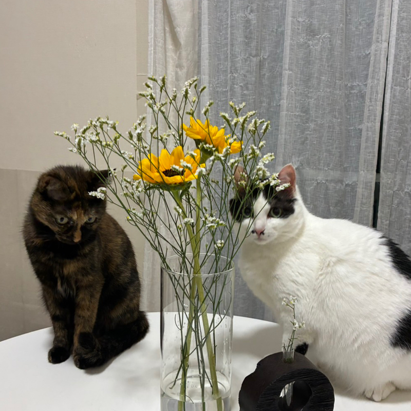 仕事に疲れたOLのひとりごと