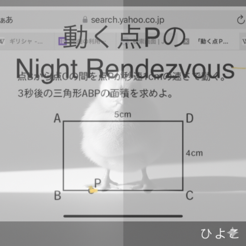 シゲンシスシゲンシス⁈