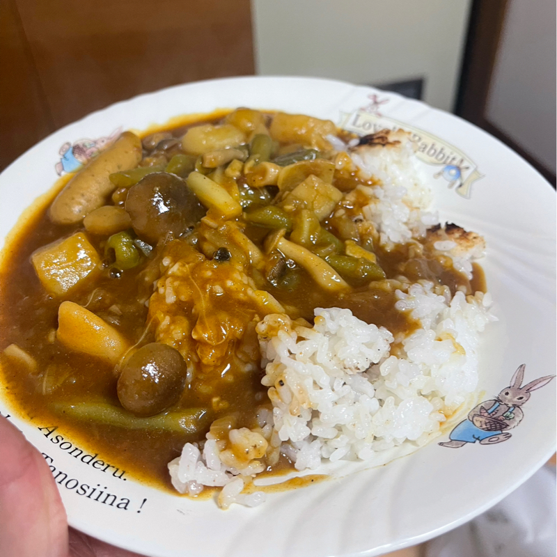 闘病カレー