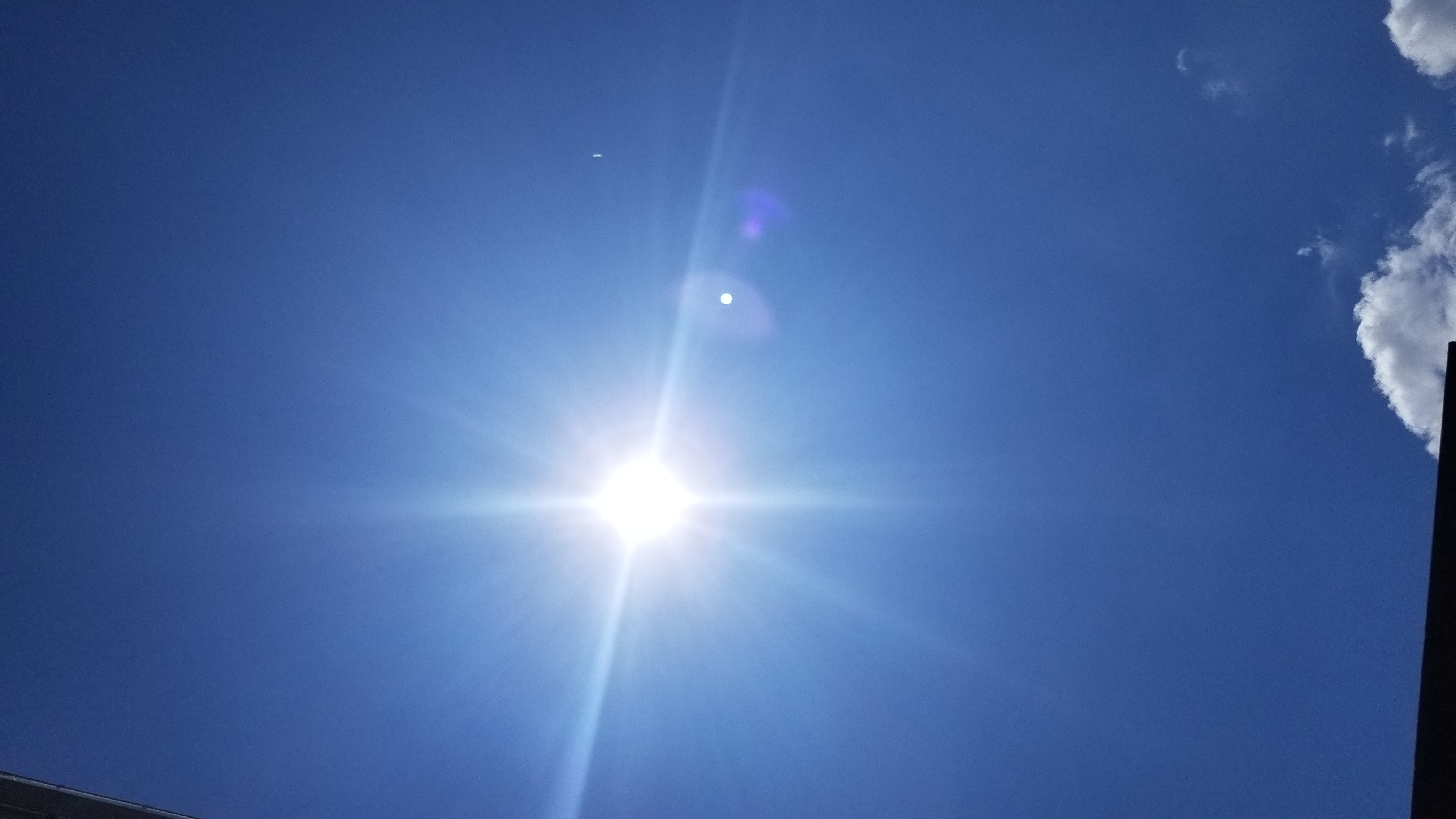 #6 仕事つらい方へ