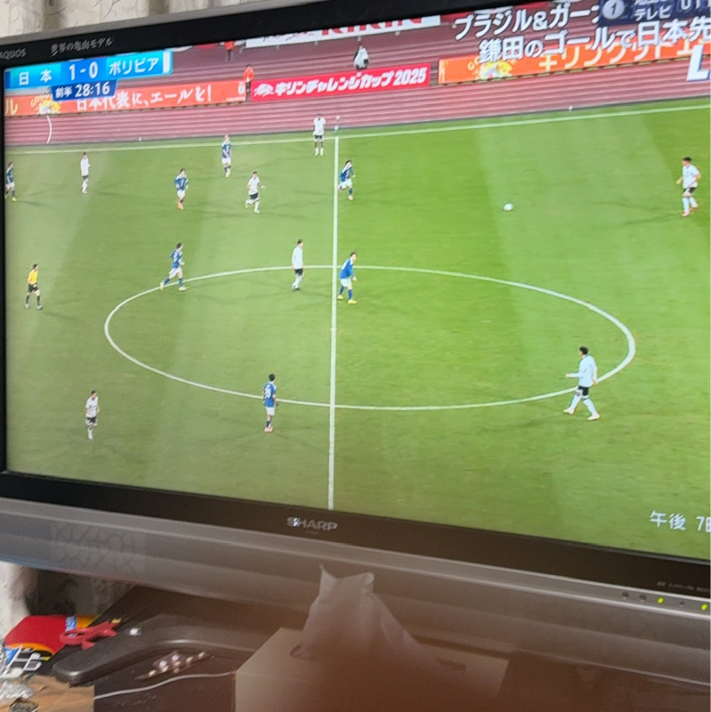 友達以上、恋人未満について