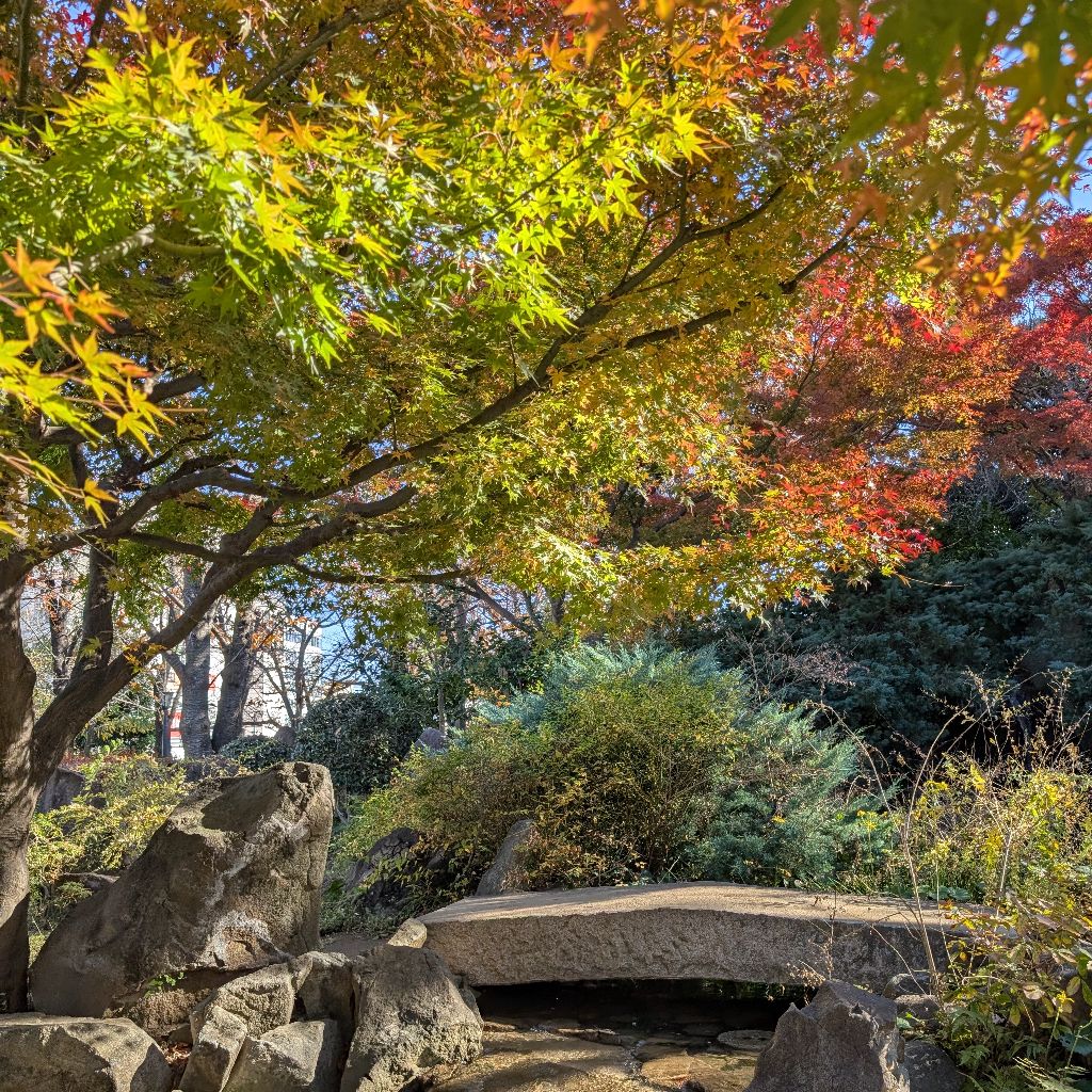 はじめましての自己紹介 乳がん7年目のにこです
