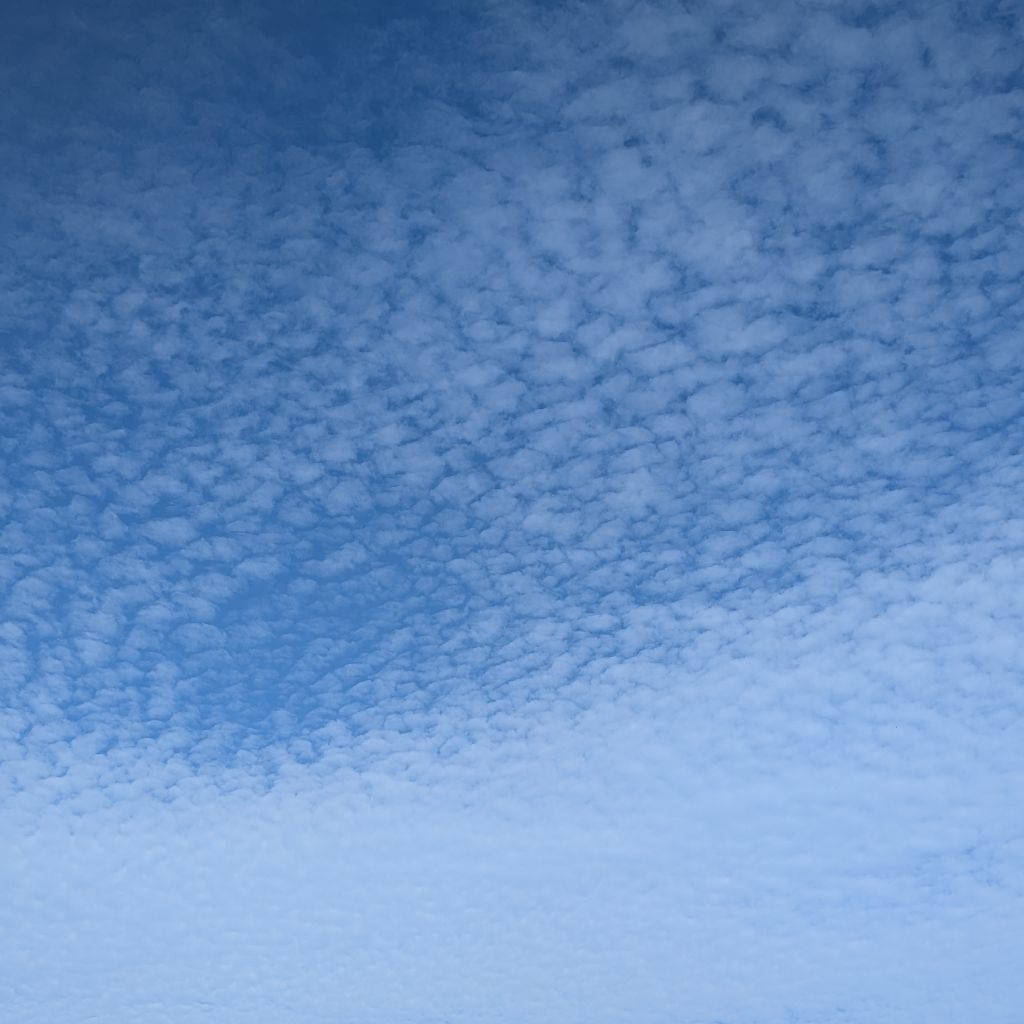 はじめまして。