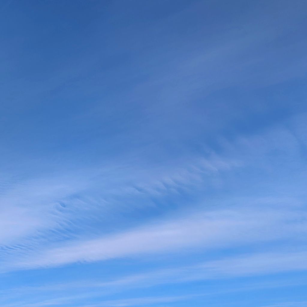 初日（昨日）のお礼と感想など。