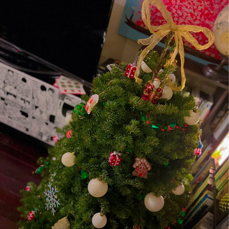 クリスマスツリーを本物のモミの木にしたら面白かった🎄