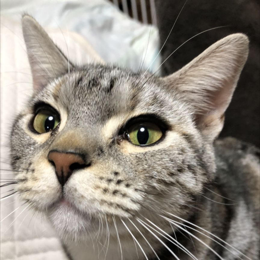 【喫茶ゆる文庫】店主がだらだら色々語る