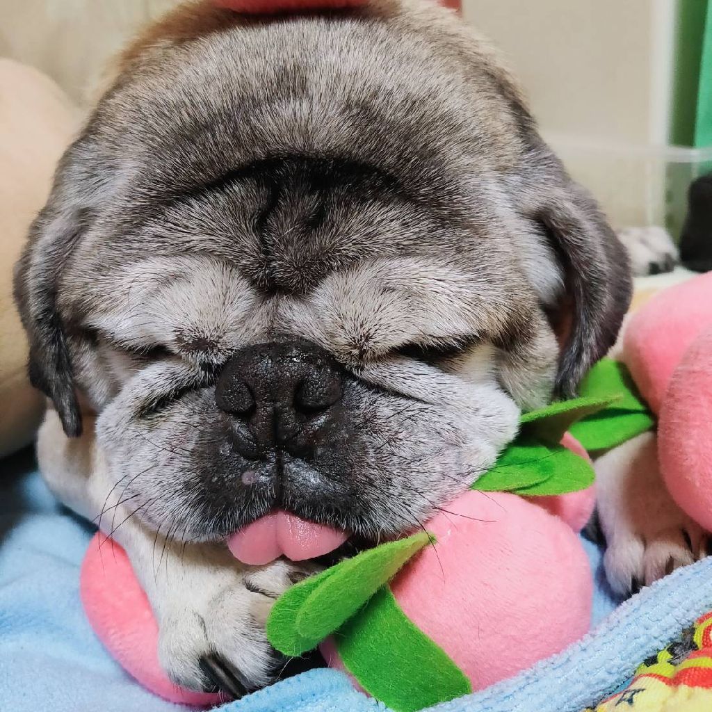 にこ☺️（旧ネーム バツイチ独身）