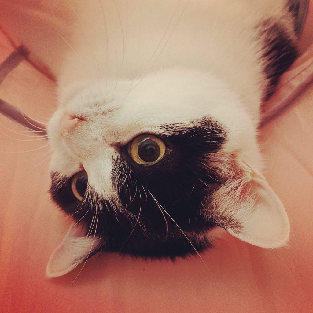 パルプー夫婦のマンデーレコメンド