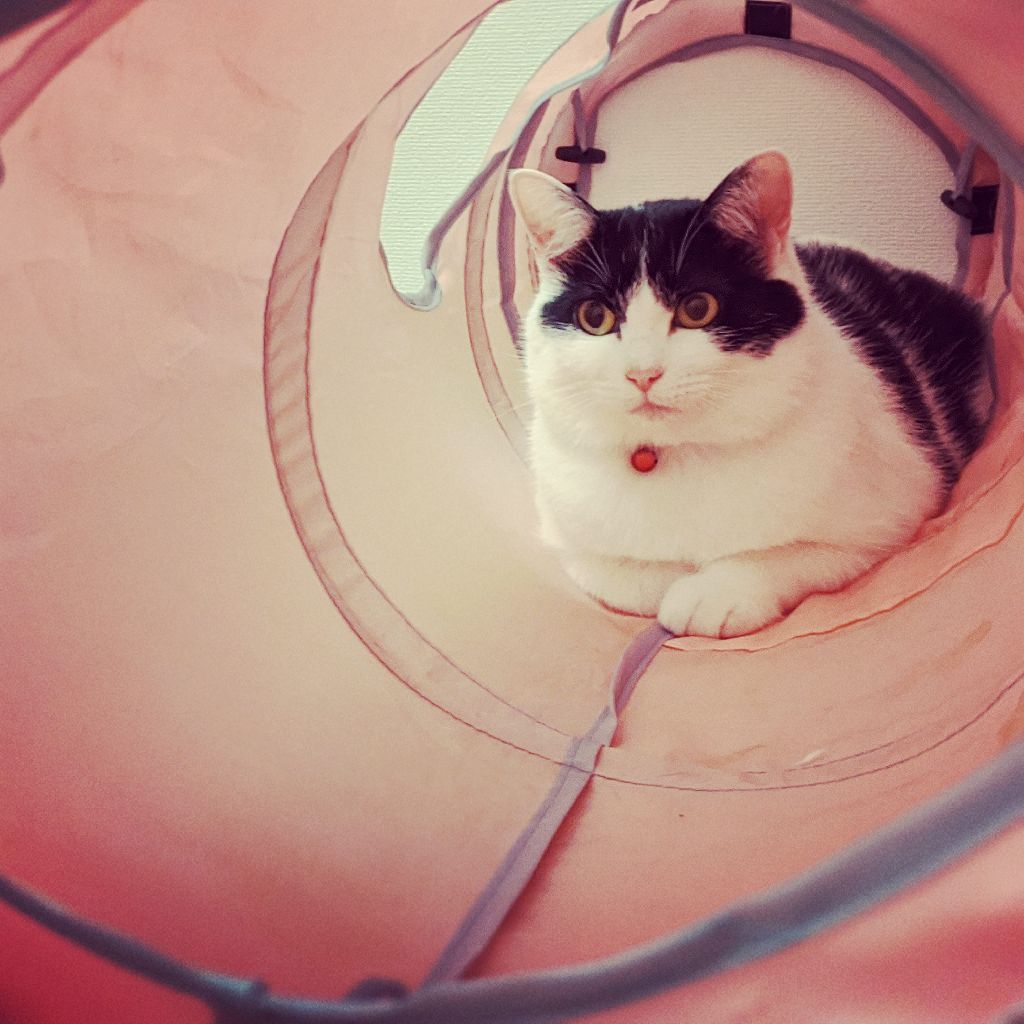 サンタさんからSwich2|マンデーレコメンド