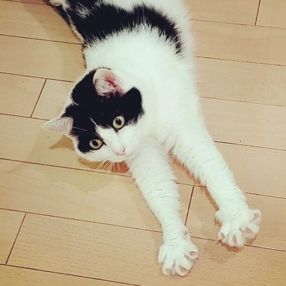 御香に魅せられて|マンデーレコメンド