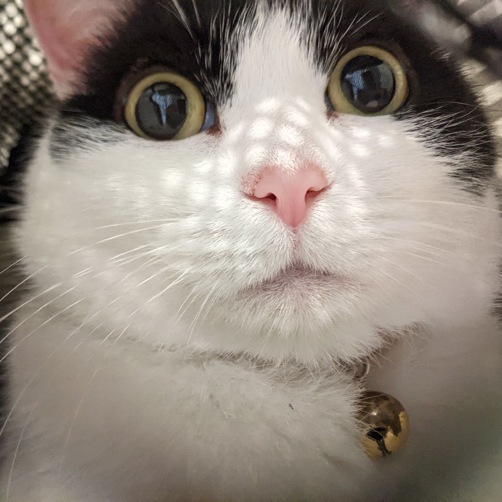 【鼻づまりの方必聴！】ナザールで世界が変わった|マンデーレコメンド