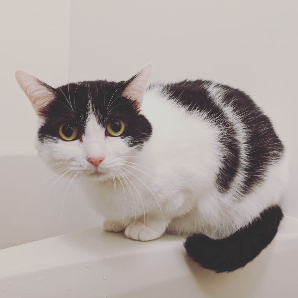 モルディブ、フラワリのお部屋編|マンデーレコメンド