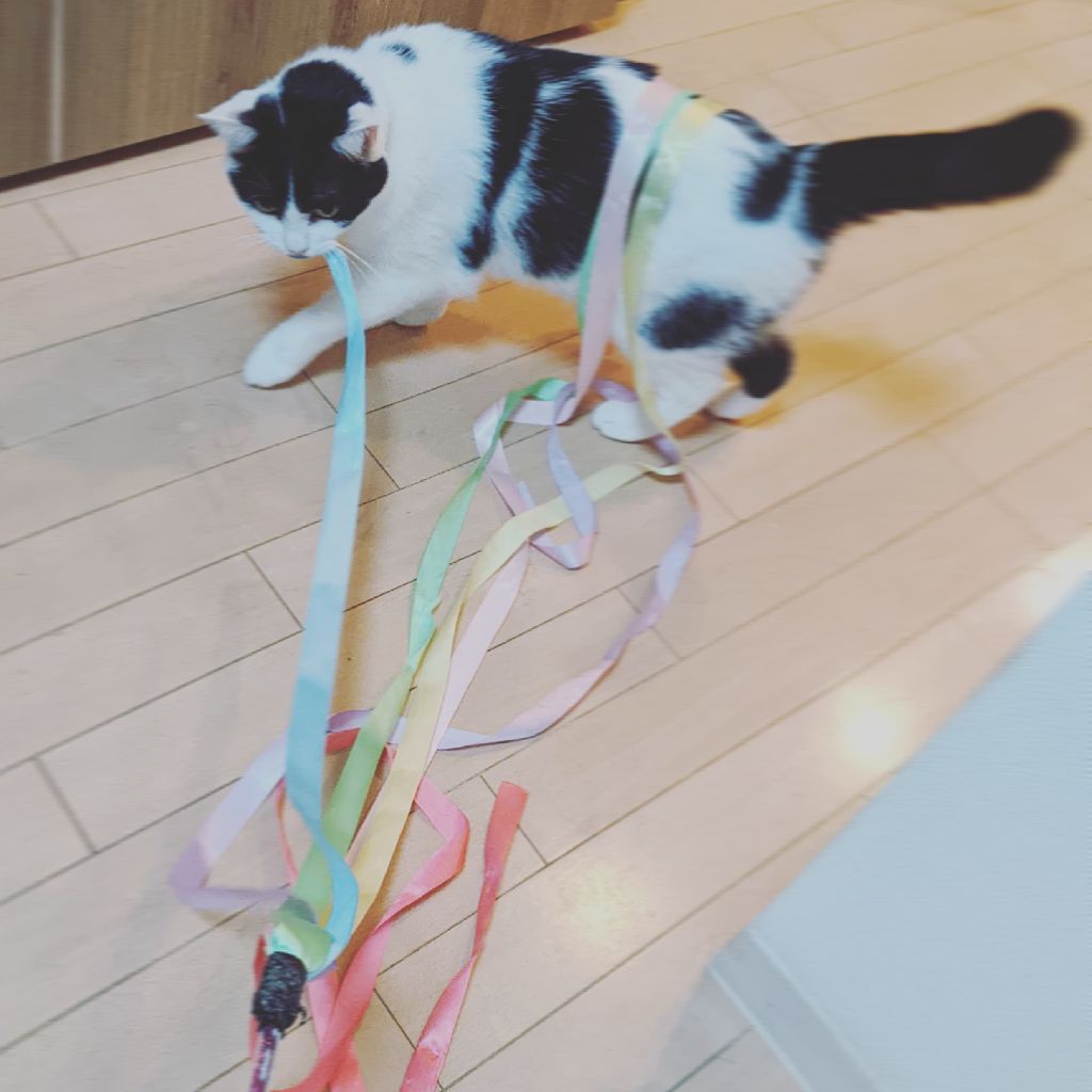 カービィが可愛い|マンデーレコメンド