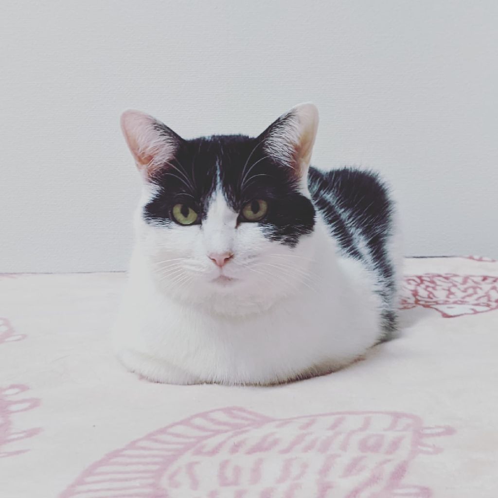 JINSのAI診断|マンデーレコメンド