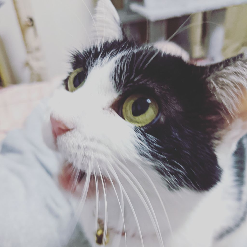 HUMAN fall flatが面白い！|マンデーレコメンド