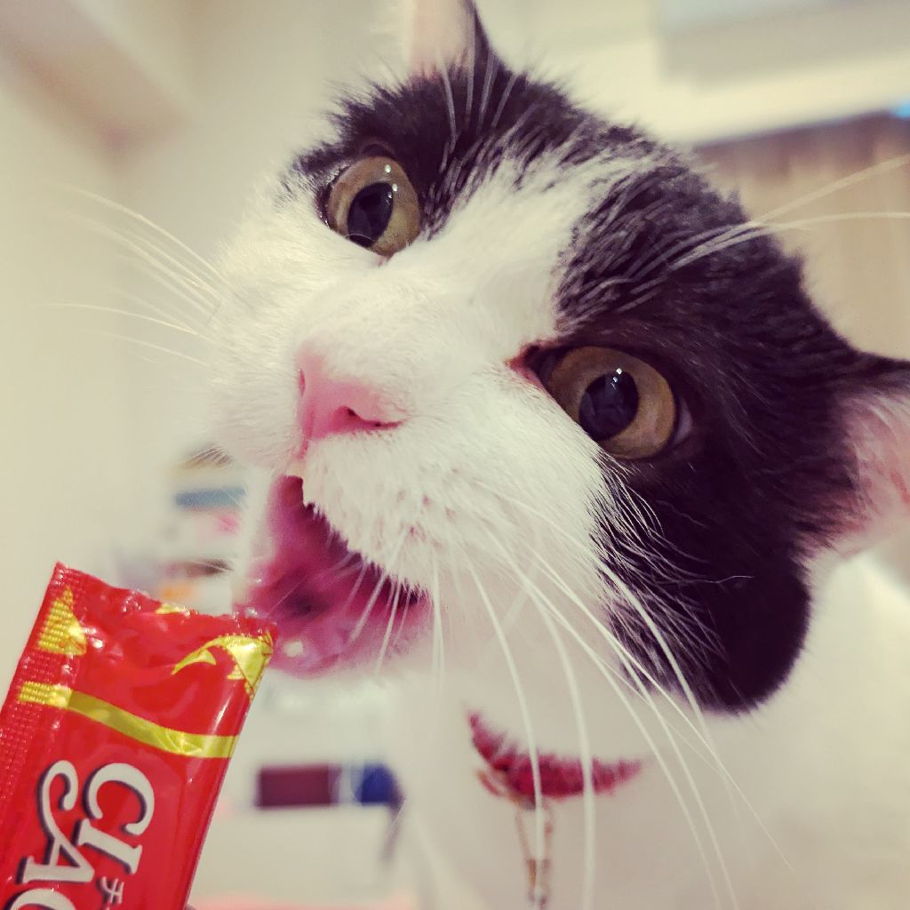 プラチナがピカピカになった！|マンデーレコメンド