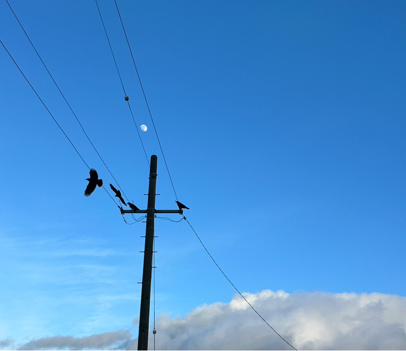 第７夜　推薦図書とミステリー