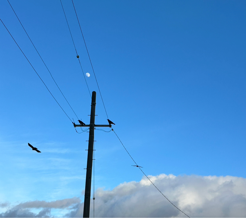 第８夜　思い出の本とテスト