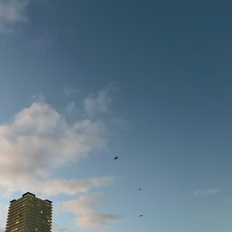 第１１夜　華金の買物ブログ