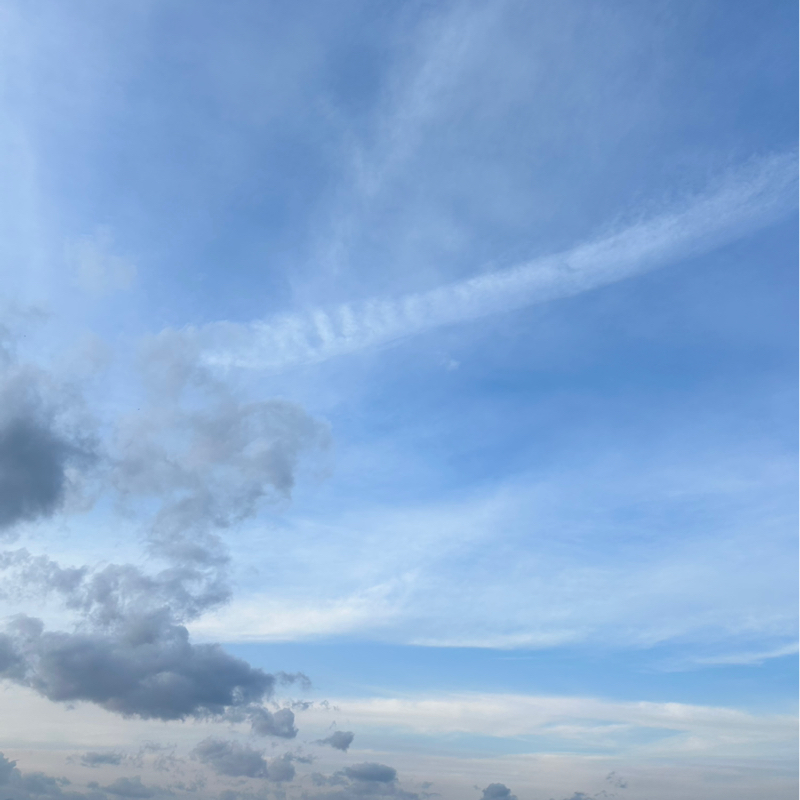 第３１夜　不安症で緊張しい