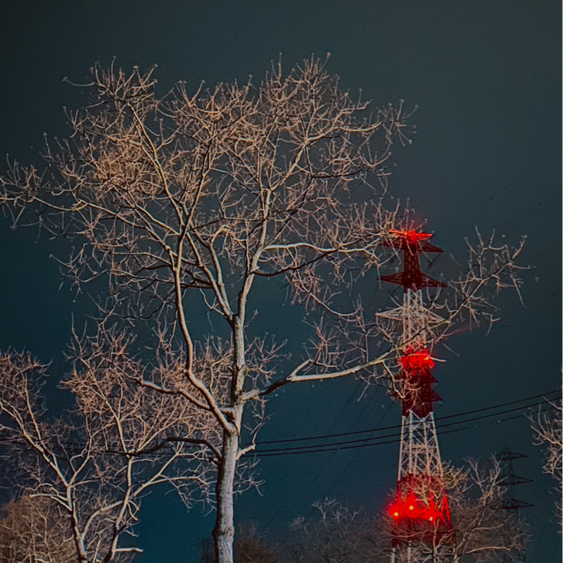 第３９夜　山の香りと散歩