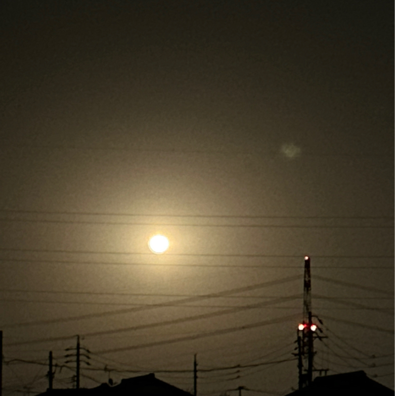 第４２夜　夜散歩