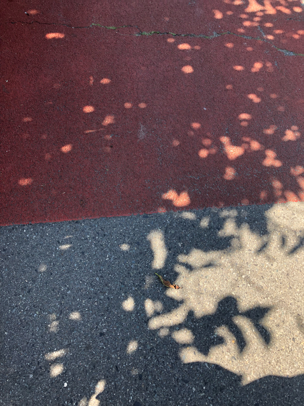 #1 自己紹介と「グッバイ、サマー」