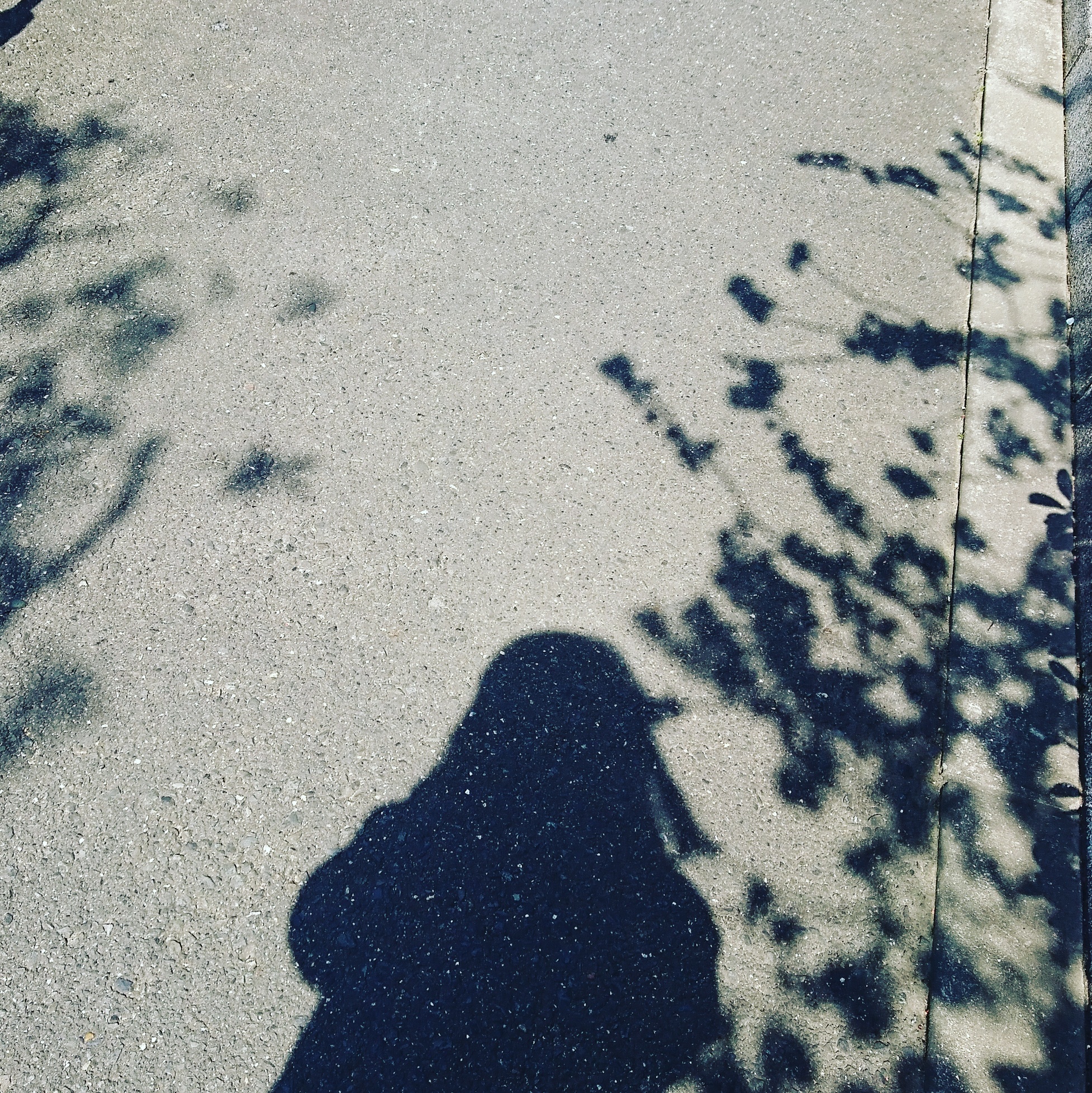 どうでもいい話をしませんか