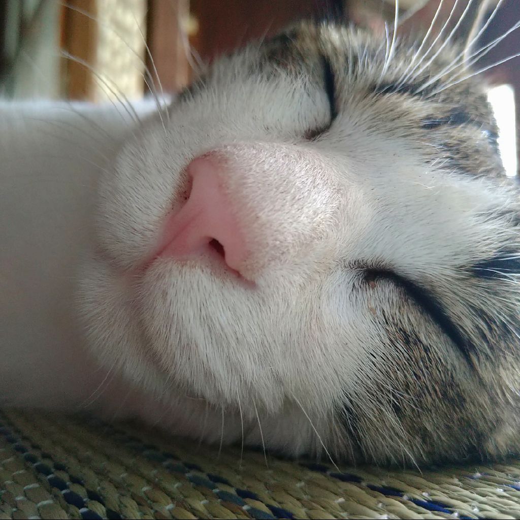 今日思ったことは、やっぱりメモは必要だということです。