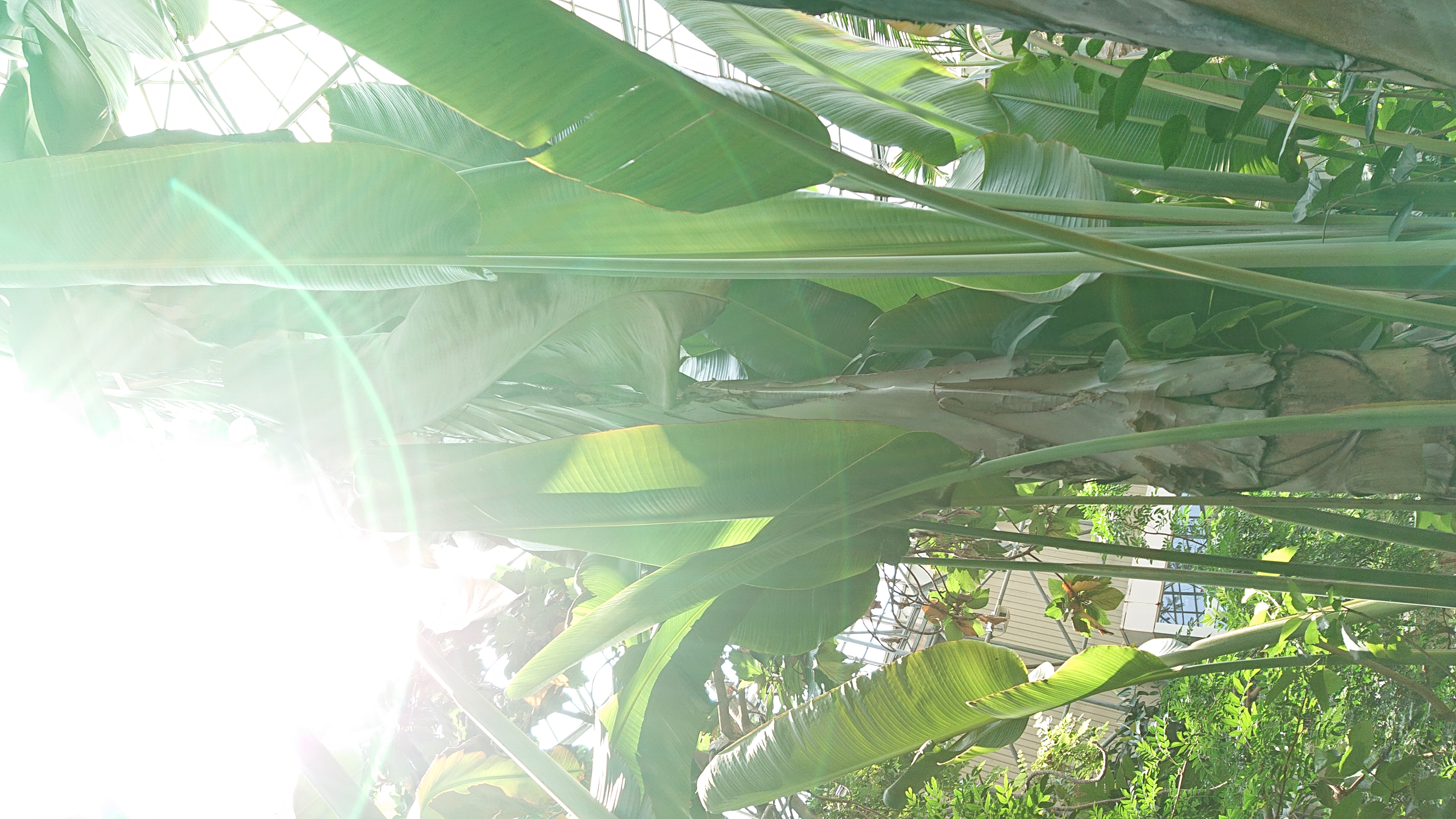 ヒプノセラピー受けてきた、あと瞑想合宿も。