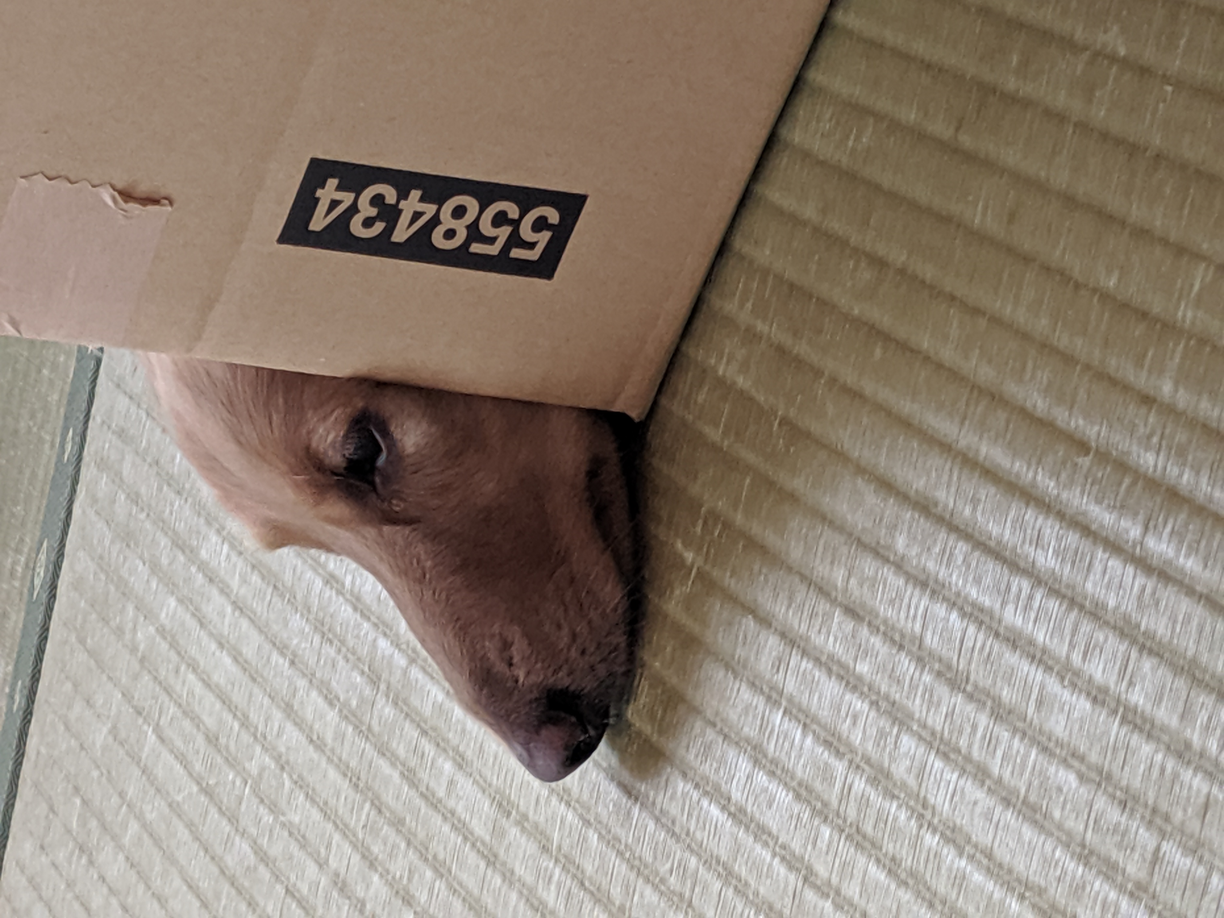 マウント女ディスり大会