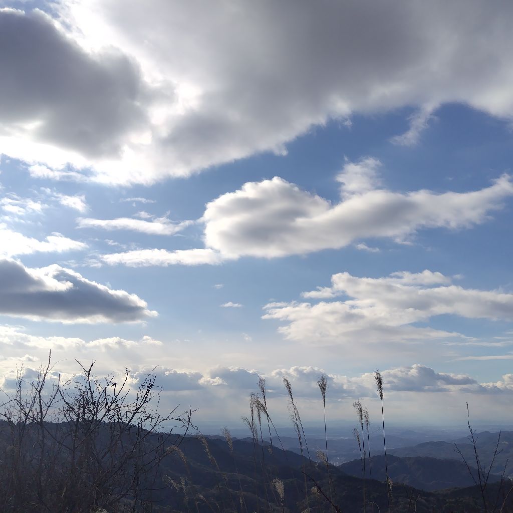 負けず嫌いでこれと決めたら一直線に突き進むと改めて気付いた日
