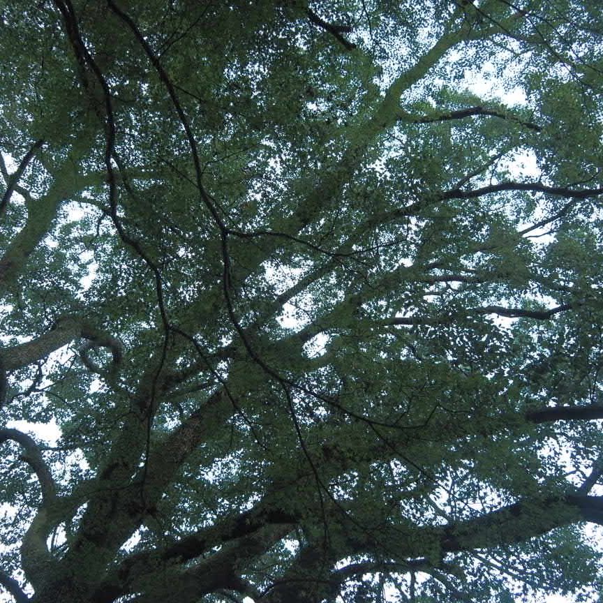 沈黙について。オチのない話